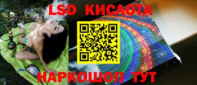 винт Шелехов